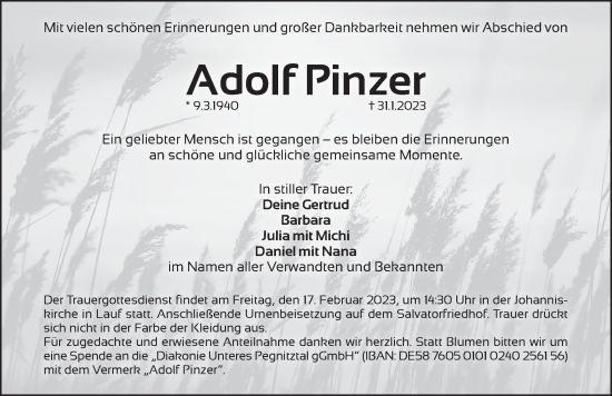 Traueranzeige von Adolf Pinzer von Pegnitz-Zeitung