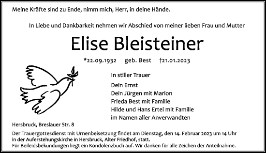 Traueranzeige von Elise Bleisteiner von Hersbrucker Zeitung Lokal
