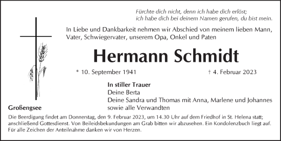Traueranzeige von Hermann Schmidt von Pegnitz-Zeitung