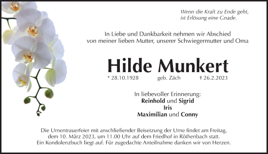 Traueranzeige von Hilde Munkert von Pegnitz-Zeitung