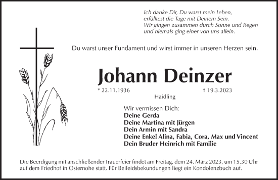 Traueranzeige von Johann Deinzer von Pegnitz-Zeitung