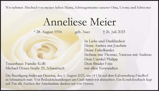 Traueranzeige von Anneliese Meier von Pegnitz-Zeitung