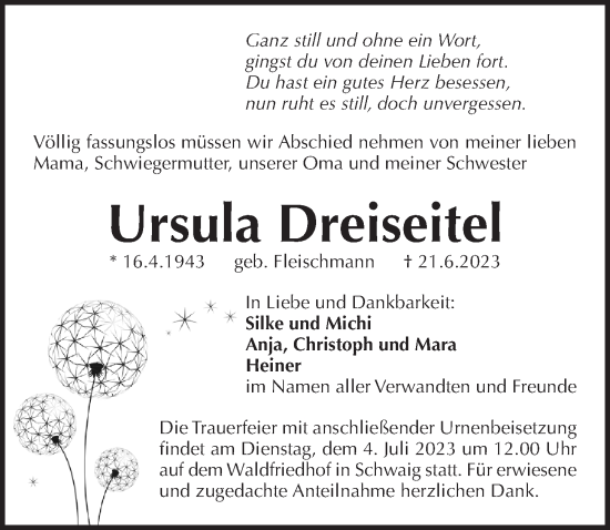 Traueranzeige von Ursula Dreiseitel von Pegnitz-Zeitung