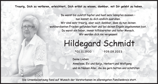 Traueranzeige von Hildegard Schmidt von Pegnitz-Zeitung