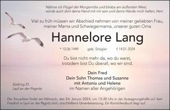Traueranzeige von Hannelore Lang von Pegnitz-Zeitung