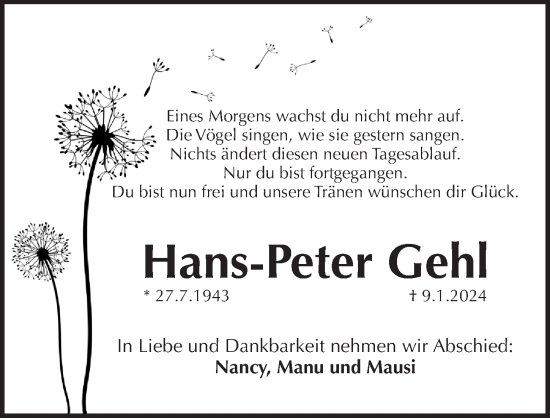 Traueranzeige von Hans-Peter Gehl von Pegnitz-Zeitung