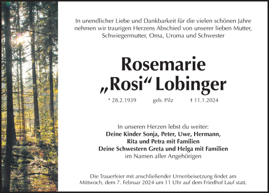 Traueranzeige von Rosemarie Lobinger von Pegnitz-Zeitung