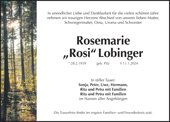 Traueranzeige von Rosemarie Lobinger von Pegnitz-Zeitung