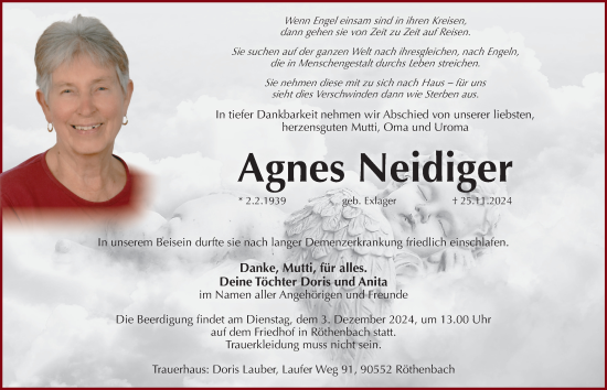 Traueranzeige von Agnes Neidiger von Pegnitz-Zeitung