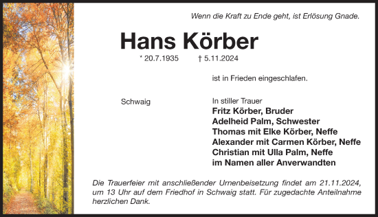 Traueranzeige von Hans Körber von Pegnitz-Zeitung
