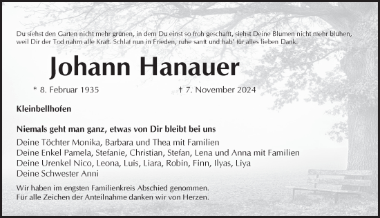 Traueranzeige von Johann Hanauer von Pegnitz-Zeitung