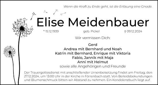 Traueranzeige von Elise Meidenbauer von Hersbrucker Zeitung Lokal