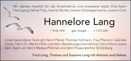 Traueranzeige von Hannelore Lang von Pegnitz-Zeitung
