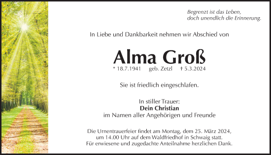 Traueranzeige von Alma Groß von Pegnitz-Zeitung