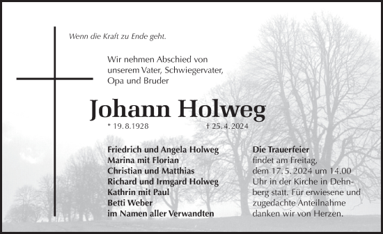 Traueranzeige von Johann Holweg von Pegnitz-Zeitung