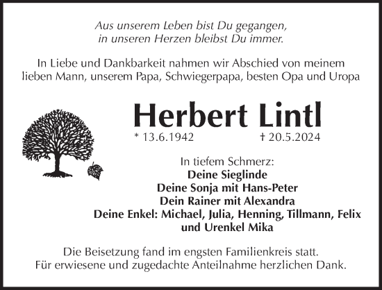 Traueranzeige von Herbert Lintl von Pegnitz-Zeitung