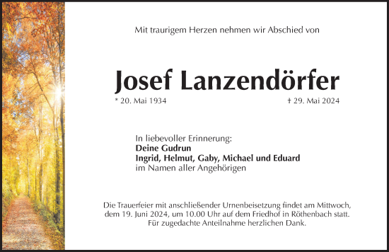 Traueranzeige von Josef Lanzendörfer von Pegnitz-Zeitung