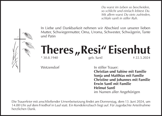 Traueranzeige von Theres  Eisenhut von Pegnitz-Zeitung