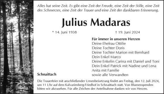 Traueranzeige von Julius Madaras von Pegnitz-Zeitung