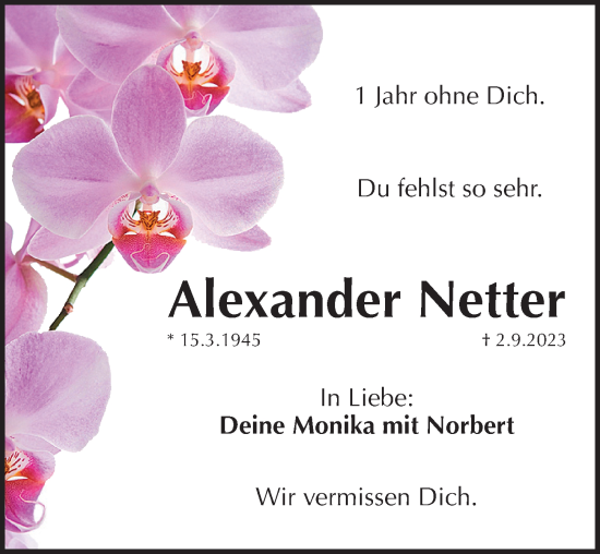Traueranzeige von Alexander Netter von Pegnitz-Zeitung