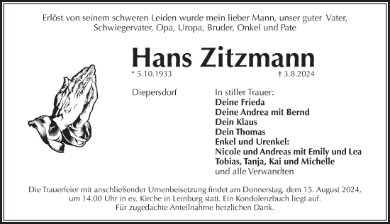 Traueranzeige von Hans Zitzmann von Pegnitz-Zeitung