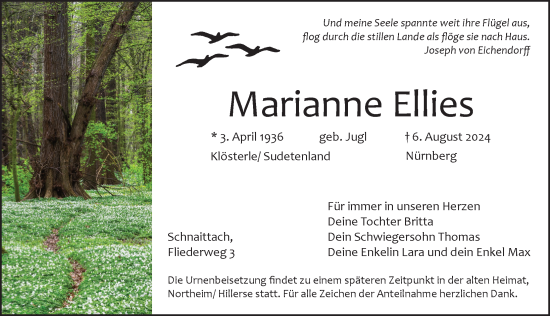 Traueranzeige von Marianne Ellies von Pegnitz-Zeitung