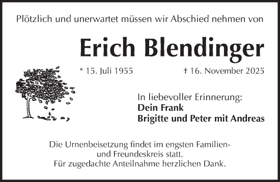 Traueranzeige von Erich Blendinger von Pegnitz-Zeitung