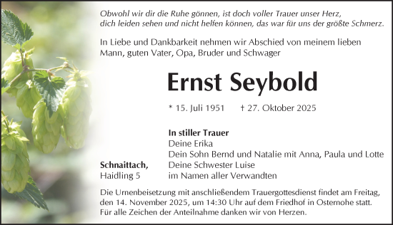 Traueranzeige von Ernst Seybold von Pegnitz-Zeitung