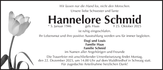 Traueranzeige von Hannelore Schmid von Pegnitz-Zeitung