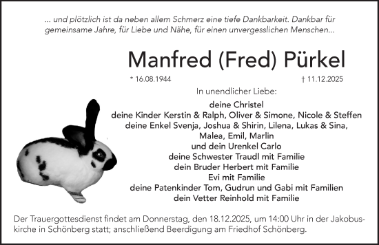 Traueranzeige von Manfred Pürkel von Pegnitz-Zeitung
