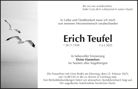 Traueranzeige von Erich Teufel von Pegnitz-Zeitung