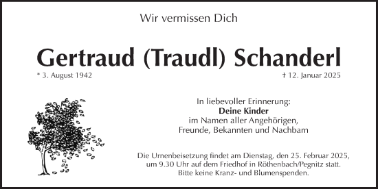 Traueranzeige von Gertraud Schanderl von Pegnitz-Zeitung