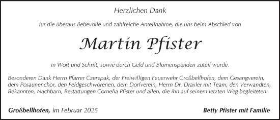 Traueranzeige von Martin Pfister von Pegnitz-Zeitung
