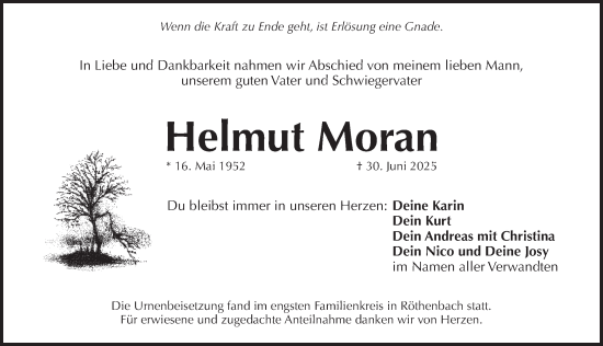Traueranzeige von Helmut Moran von Pegnitz-Zeitung