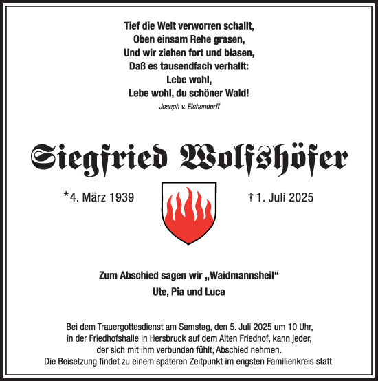Traueranzeige von Siegfried Wolfshofer von Pegnitz-Zeitung