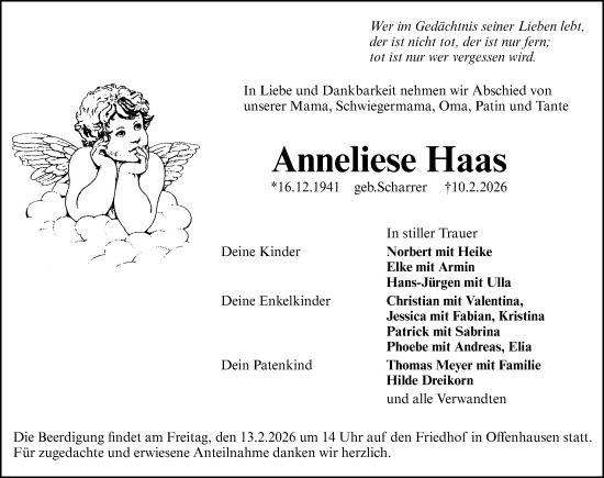 Traueranzeige von Anneliese Haas von Hersbrucker Zeitung Lokal